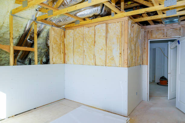 Best Insulation for Specific Applications in USA